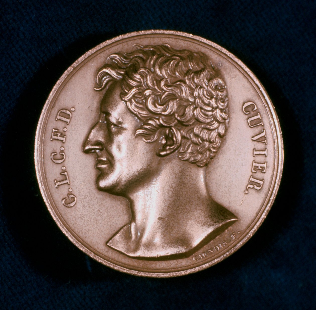 Georges Leopold Chretien Frederic Dagobert, Baron Cuvier, französischer Anatom, 19. Jahrhundert von Unbekannt