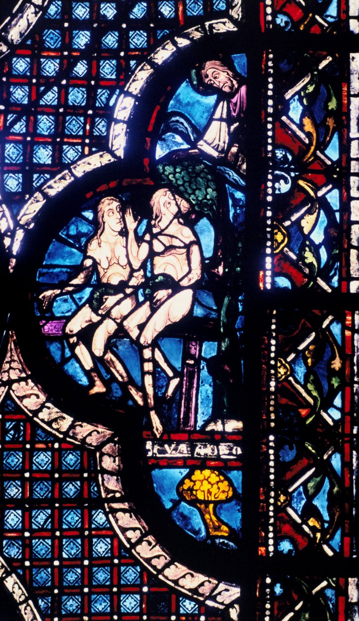 Gott konfrontiert Adam und Eva, Buntglas, Kathedrale von Chartres, Frankreich, 1205-1215 von Unbekannt