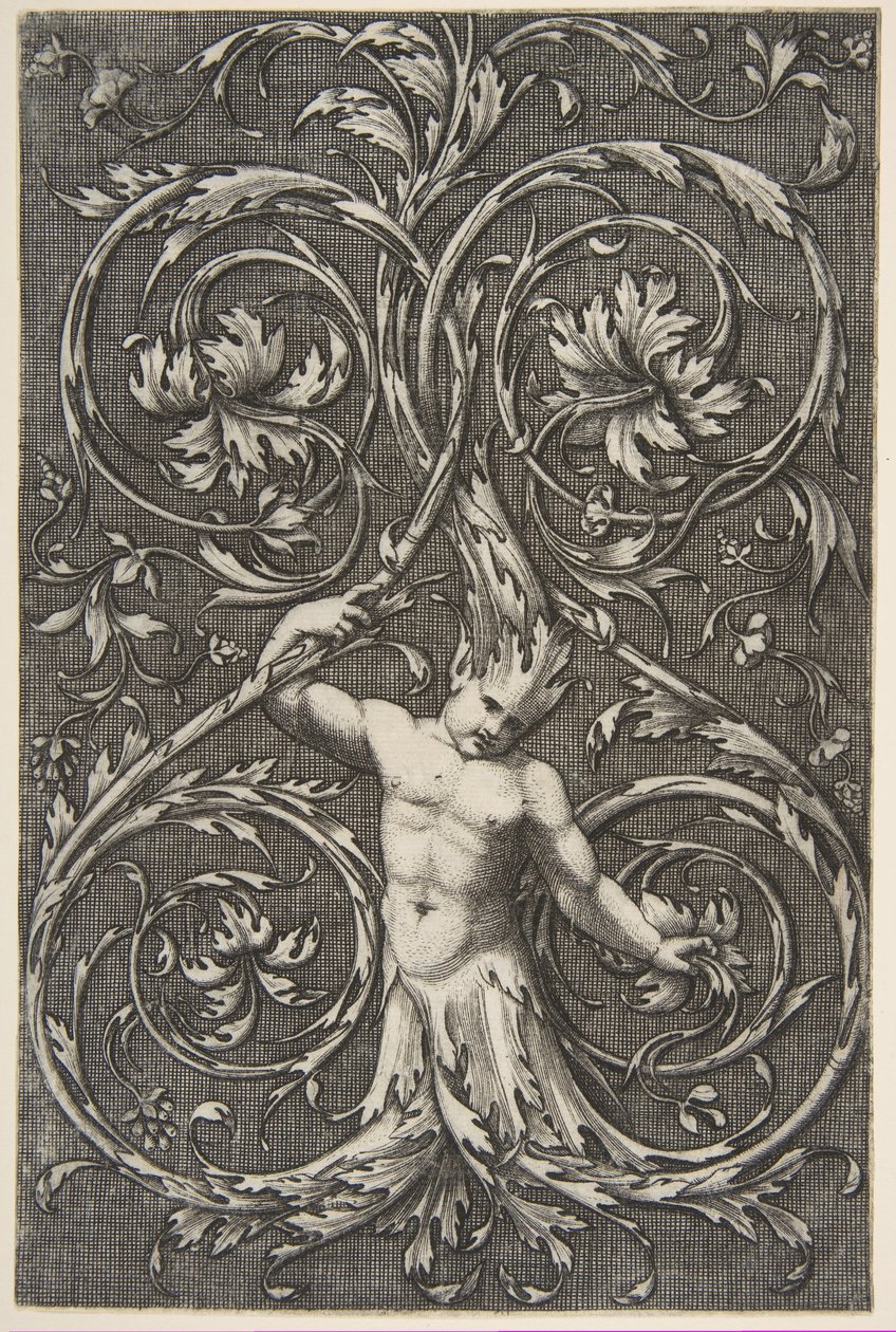 Groteske mit männlicher Figur mit Unterkörper und Kopf aus Akanthusranken, ca. 1515-1600 von Unbekannt