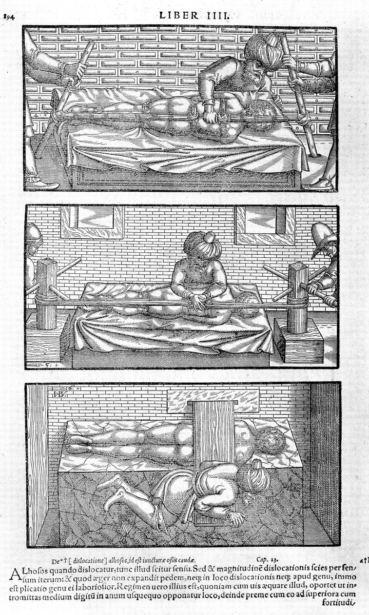 Illustration aus Liber canonis de medicinis cordialibus von Avicenna, 1556 von Unbekannt