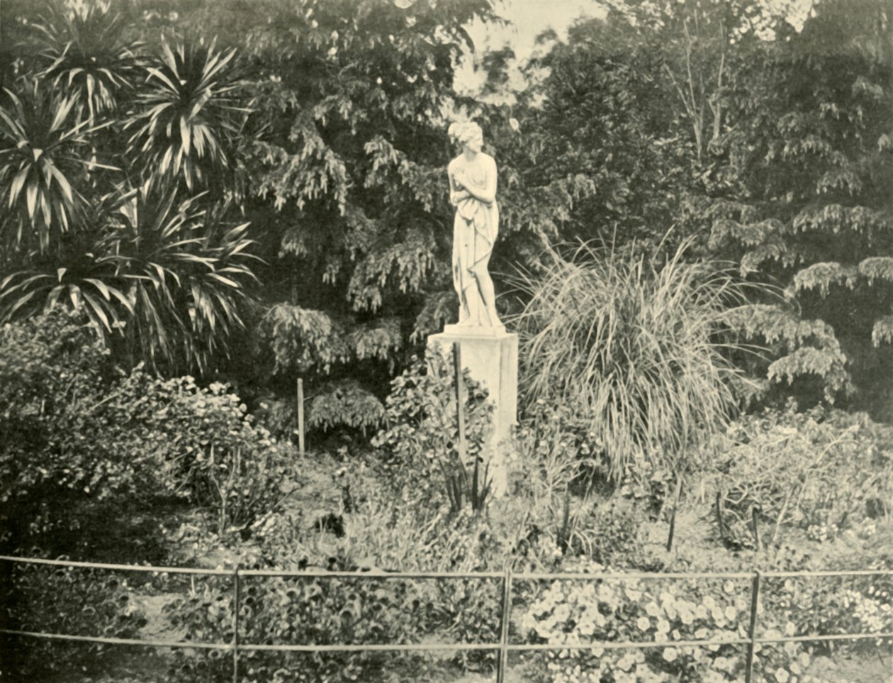 In den Fitzroy Gardens, Melbourne von Unbekannt