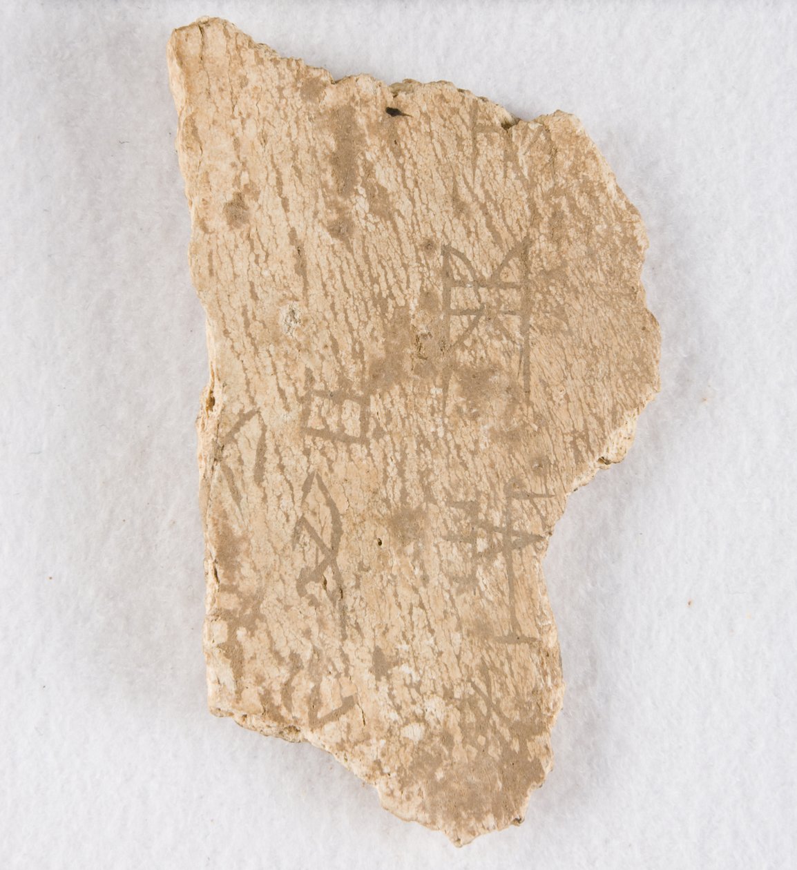 Inschrift auf Knochenfragment, Orakelknochen, Späte Shang-Dynastie, ca. 1300-1050 v. Chr. von Unbekannt