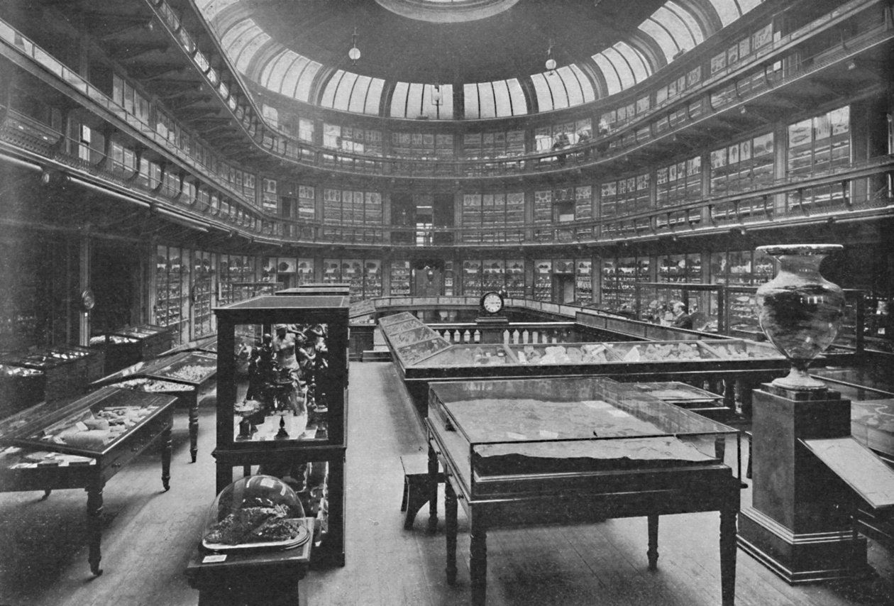 Innenraum des Geologischen Museums, Jermyn Street, 1904 von Unbekannt