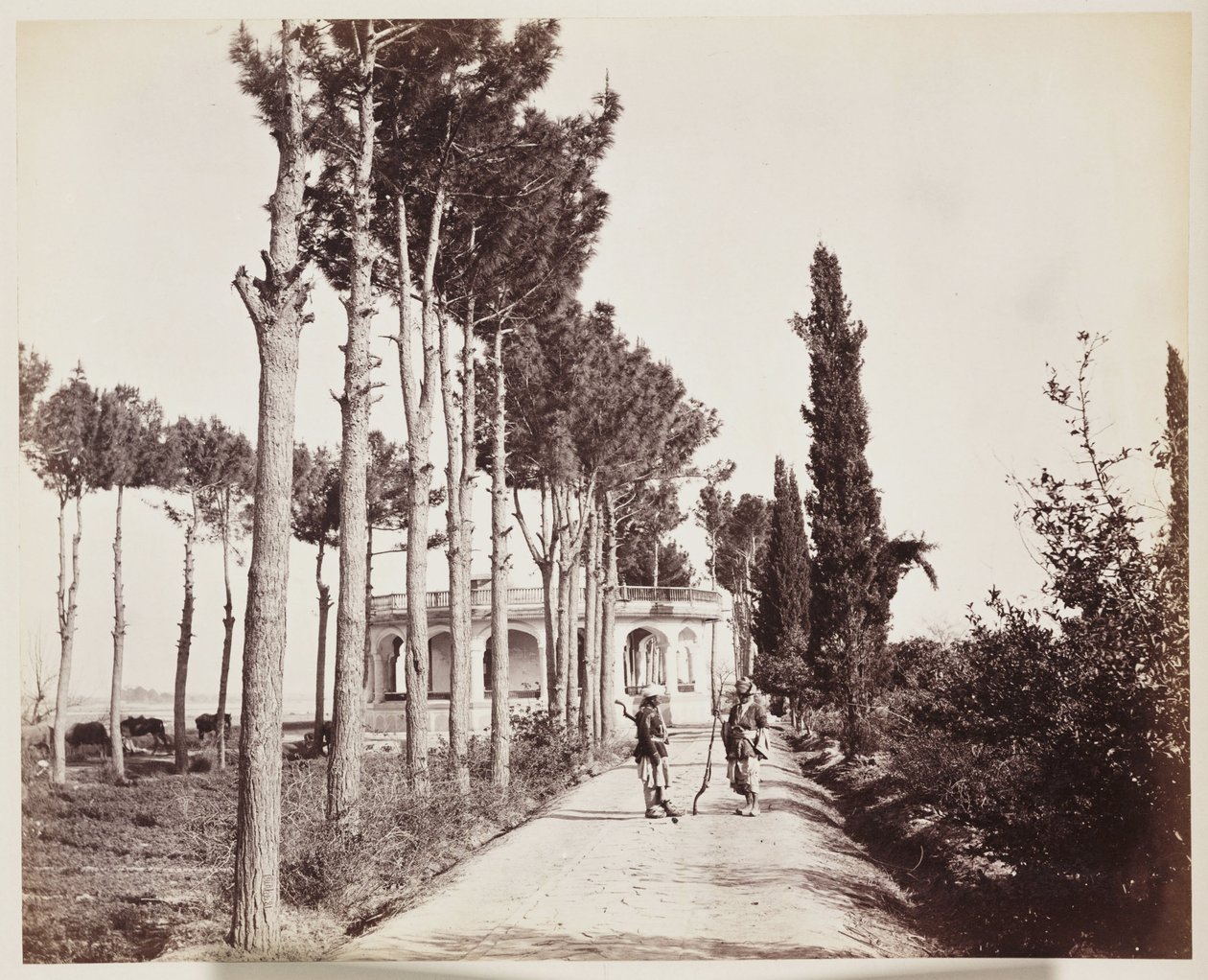 Jellallabad Der Gartenweg des Amir von Unbekannt