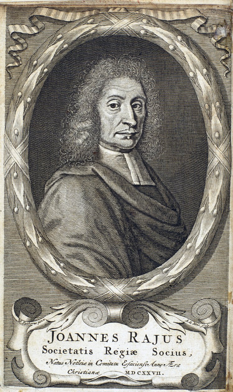 John Ray (Wray), englischer Naturforscher, ca. 1700 von Unbekannt