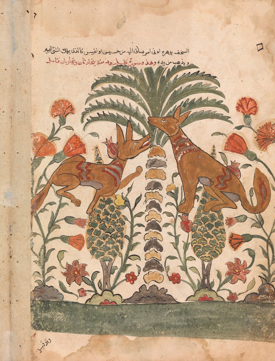 Kalila tadelt Dimna, Folio aus einem Kalila wa Dimna, 18. Jahrhundert von Unbekannt