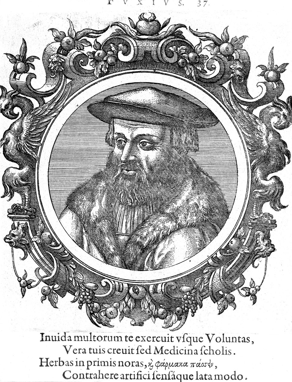 Leonhard Fuchs, deutscher Botaniker und Arzt von Unbekannt