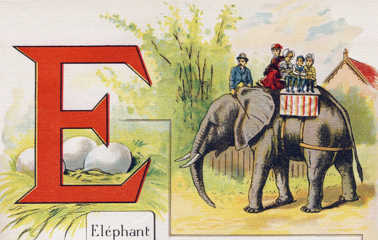 Buchstabe E: Elefant. Gravur in "ABC L