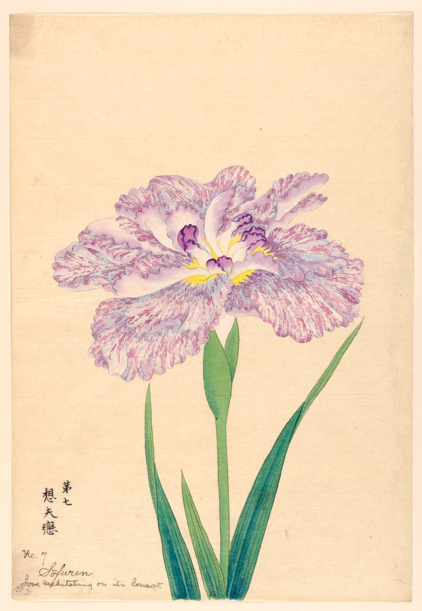 Liebe, die über ihren Gefährten meditiert (Sofuren), Nr. 7, ca. 1910 von Unbekannt