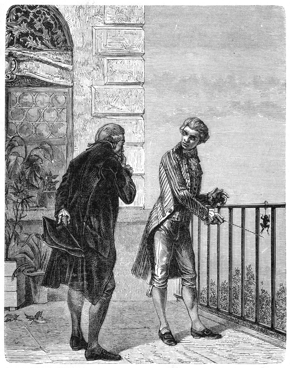 Luigi Galvani, italienischer Physiologe des 18. Jahrhunderts von Unbekannt