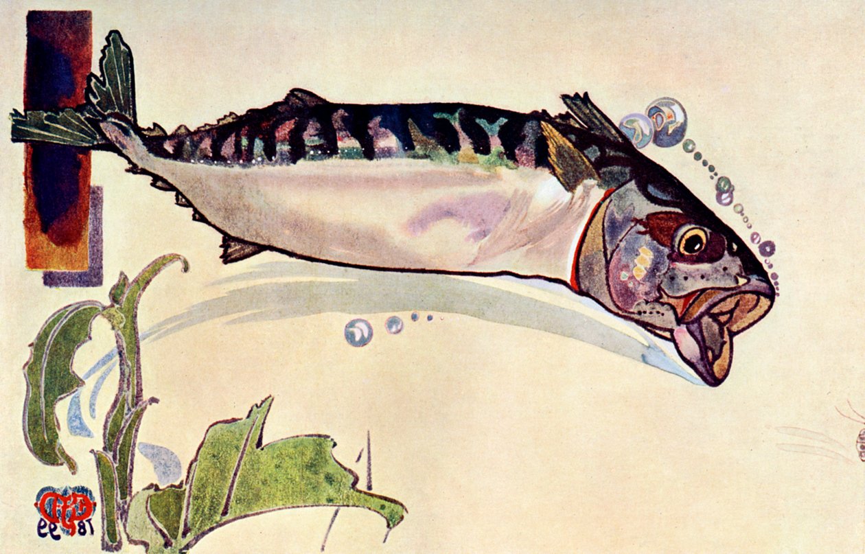Makrele, 1900 von Unbekannt