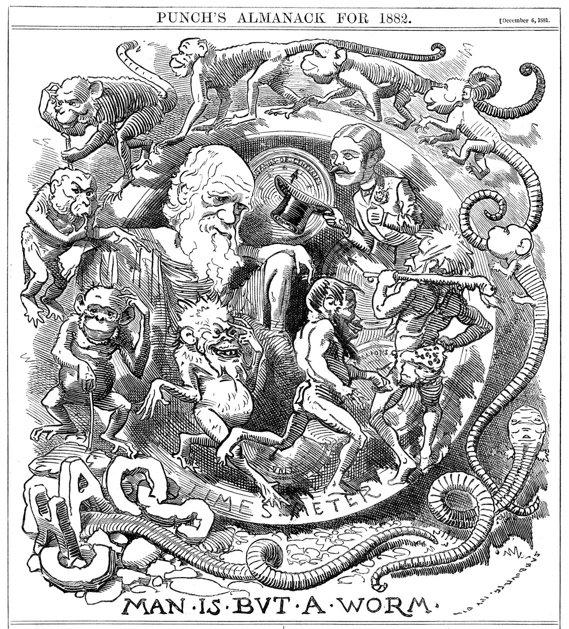 Der Mensch ist nur ein Wurm, Karikatur aus Punch, die die Evolution vom Wurm zum Menschen zeigt, 1881 von Unbekannt