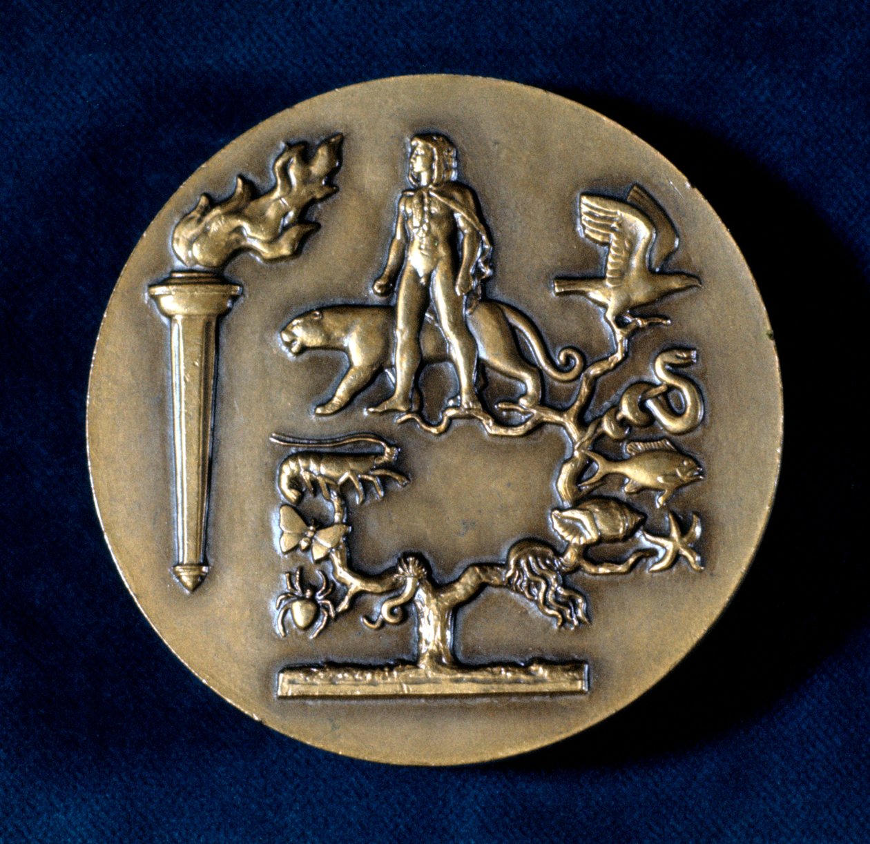 Medaille zur Erinnerung an Jean Baptiste de Monet, Chevalier de Lamarck, französischer Biologe, 20. Jahrhundert von Unbekannt