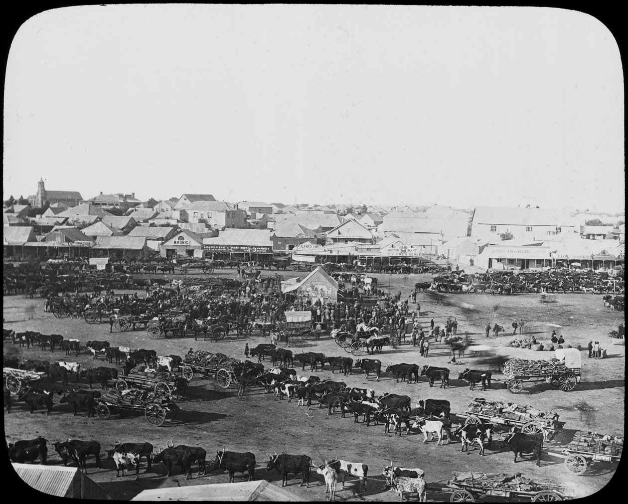 Morgenmarkt, Kimberley, Südafrika, um 1890 von Unbekannt