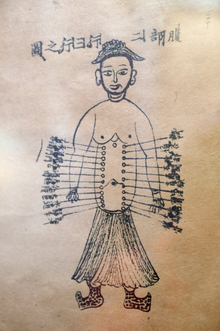 Museum für traditionelle vietnamesische Medizin, Die Kanäle und Gefäße, Buch der Akupunktur, Ho-Chi-Minh-Stadt, Vietnam von Unbekannt