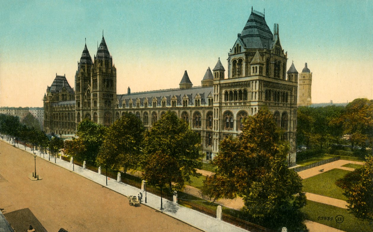 Naturhistorisches Museum, London, um 1910 von Unbekannt