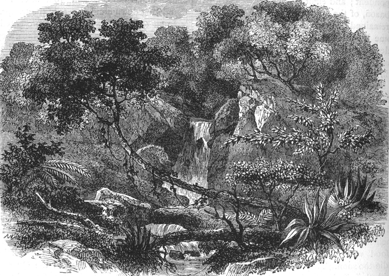 Neuseeländische Landschaft, ca. 1880 von Unbekannt