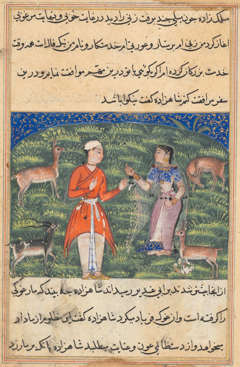 Seite aus Geschichten eines Papageis Tuti-nama: Achtzehnte Nacht: Nikfal, das Glück, ca. 1560 von Unbekannt