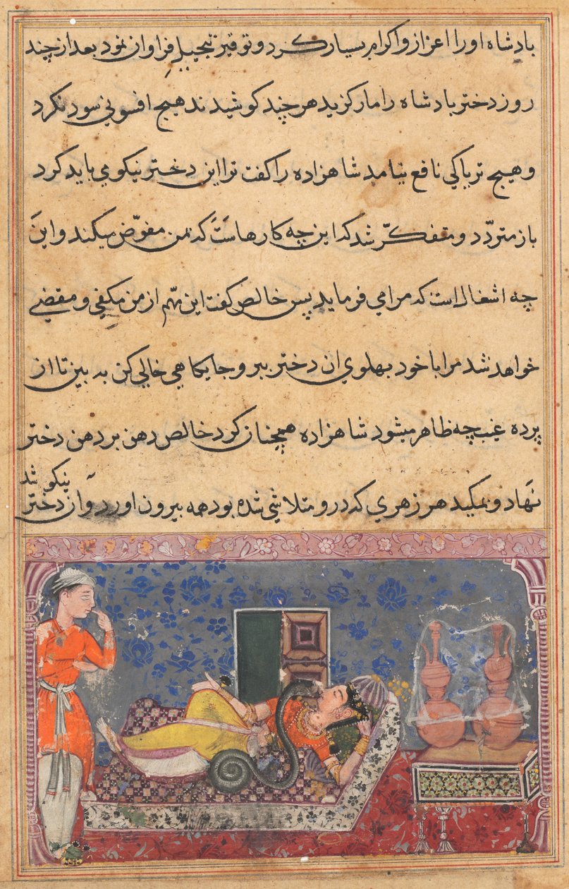 Seite aus Geschichten eines Papageis Tuti-nama: Achtzehnte Nacht: Khalis zahlt zurück..., ca. 1560 von Unbekannt