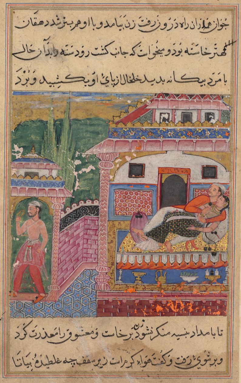 Seite aus Geschichten eines Papageis Tuti-nama: Achte Nacht: Die betrügerische Frau überredet..., 1558-1560 von Unbekannt