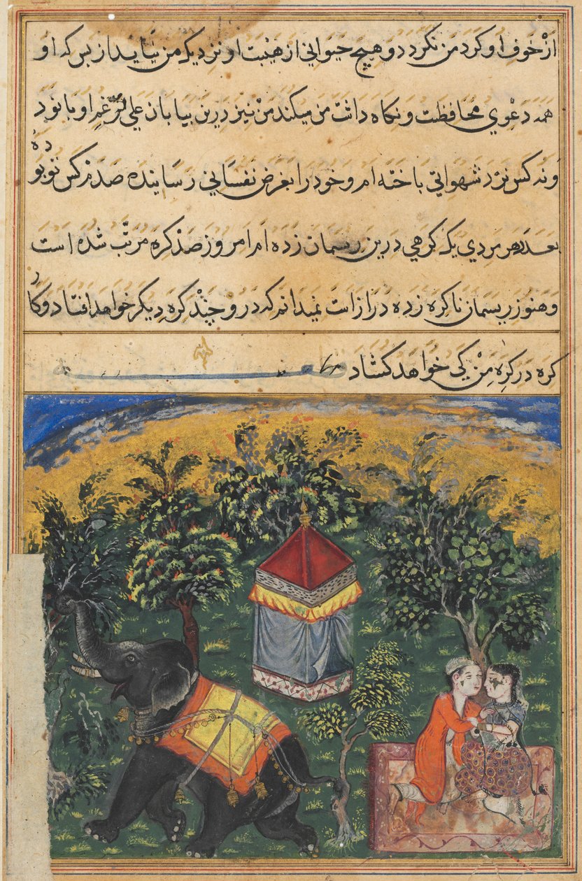 Seite aus Geschichten eines Papageis Tuti-nama: Vierte Nacht: Die Frau des Bettlers täuscht..., ca. 1560 von Unbekannt