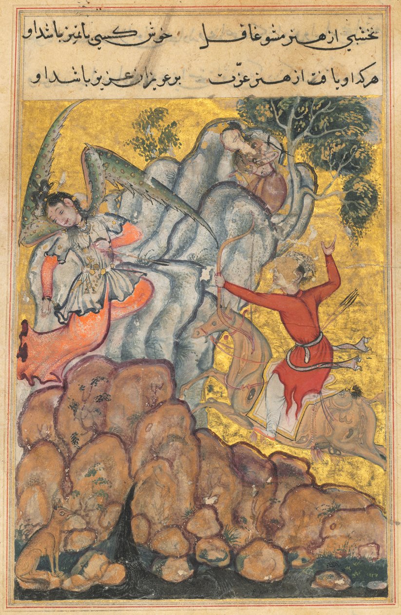 Seite aus Geschichten eines Papageis Tuti-nama: Vierunddreißigste Nacht: Der dritte Freier..., ca. 1560 von Unbekannt