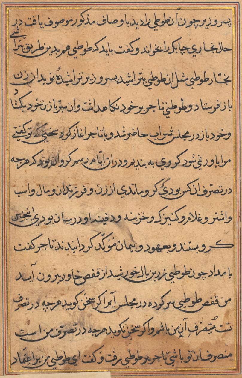 Seite aus den Geschichten eines Papageis Tuti-nama: Textseite, ca. 1560 von Unbekannt