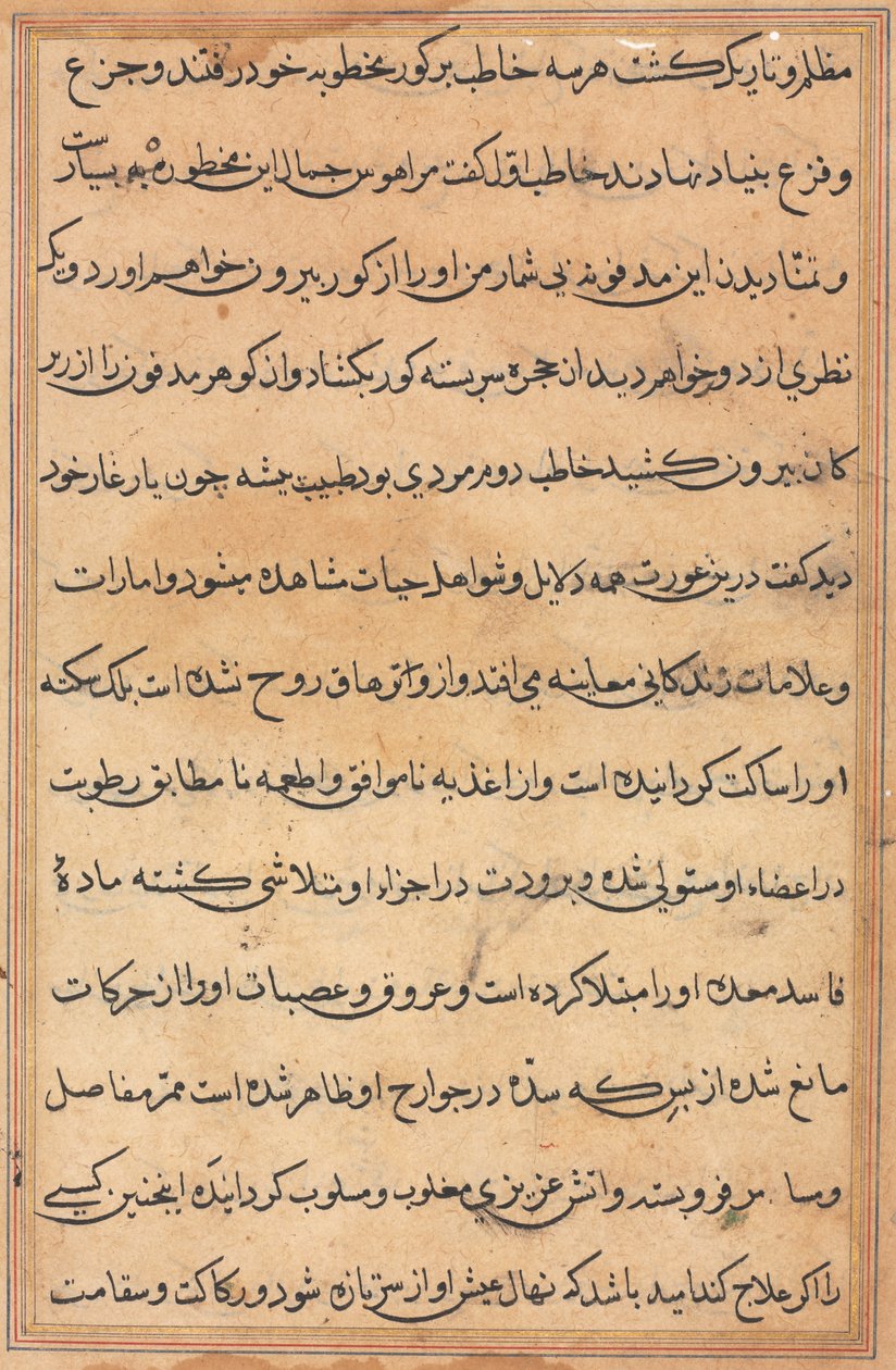 Seite aus Geschichten eines Papageis Tuti-nama: Textseite, ca. 1560 von Unbekannt