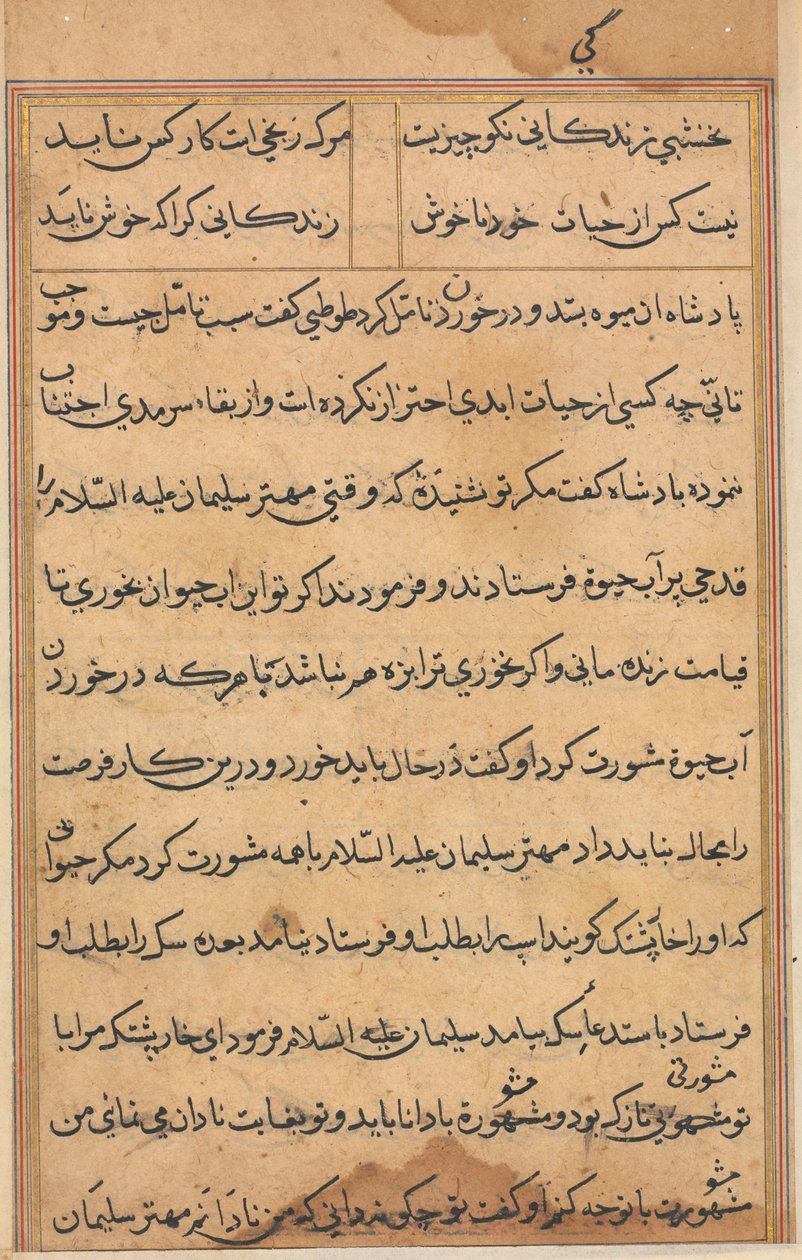 Seite aus Geschichten eines Papageis Tuti-nama: Textseite, ca. 1560 von Unbekannt