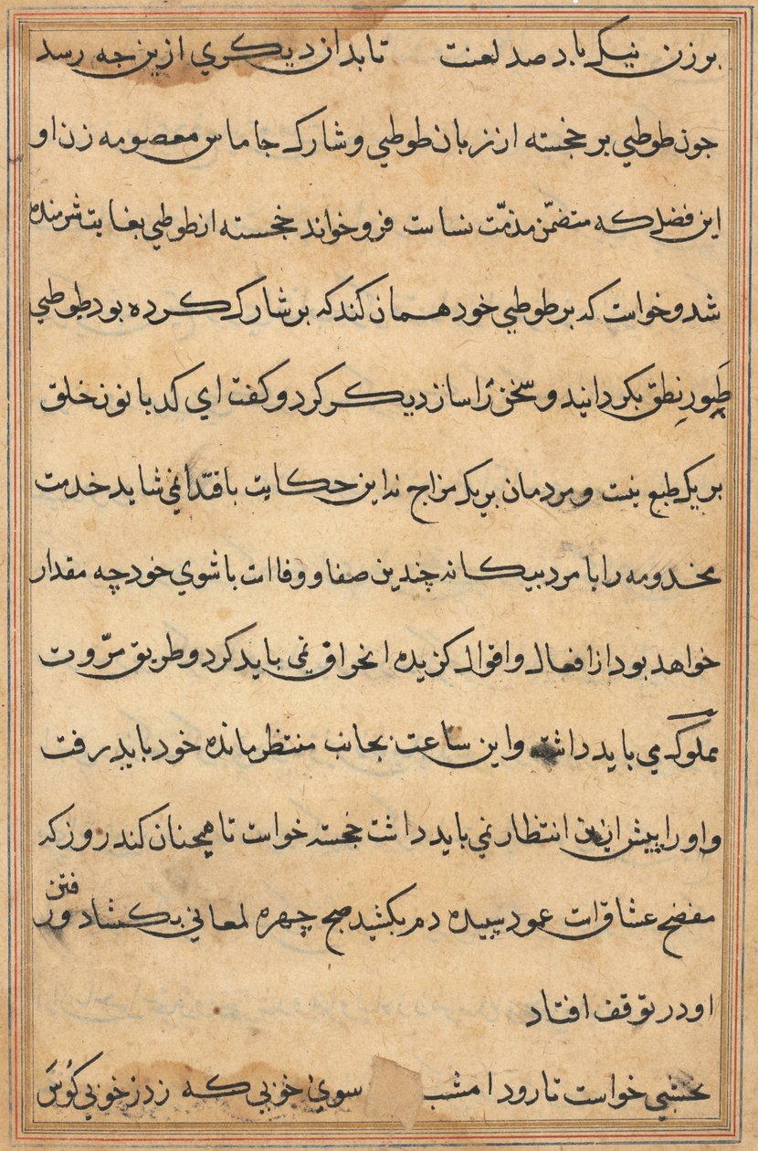 Seite aus Geschichten eines Papageis Tuti-nama: Textseite, ca. 1560 von Unbekannt