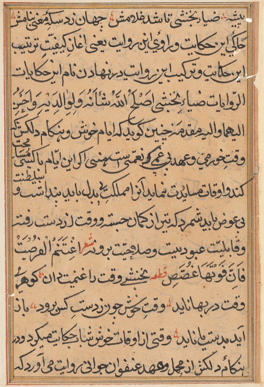 Seite aus Geschichten eines Papageis Tuti-nama: Textseite, ca. 1560 von Unbekannt