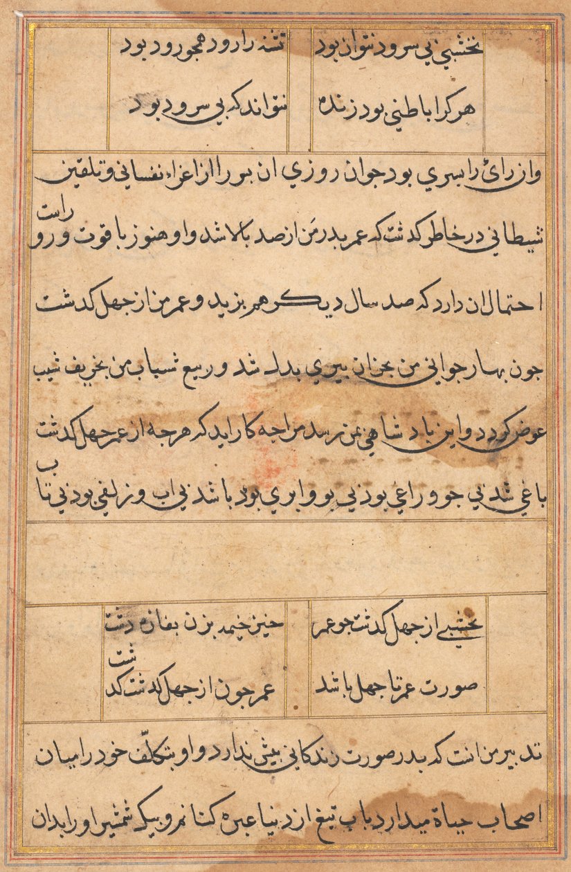 Seite aus Geschichten eines Papageis Tuti-nama: Textseite, ca. 1560 von Unbekannt