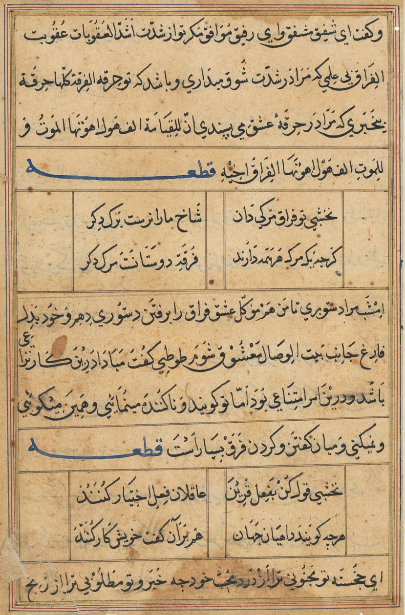 Seite aus Geschichten eines Papageis Tuti-nama: Textseite, ca. 1560 von Unbekannt