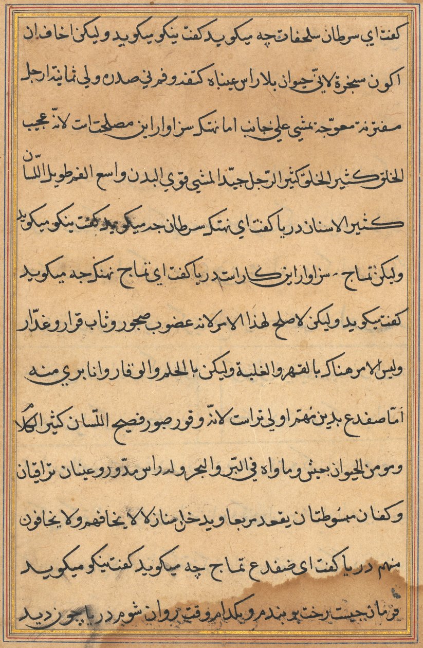 Seite aus den Geschichten eines Papageis Tuti-nama: Textseite, ca. 1560 von Unbekannt