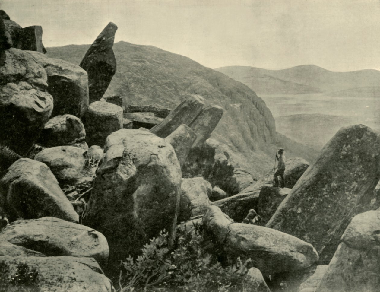 Pinnacle & Orgelpfeifen, Mount Wellington, 1901 von Unbekannt