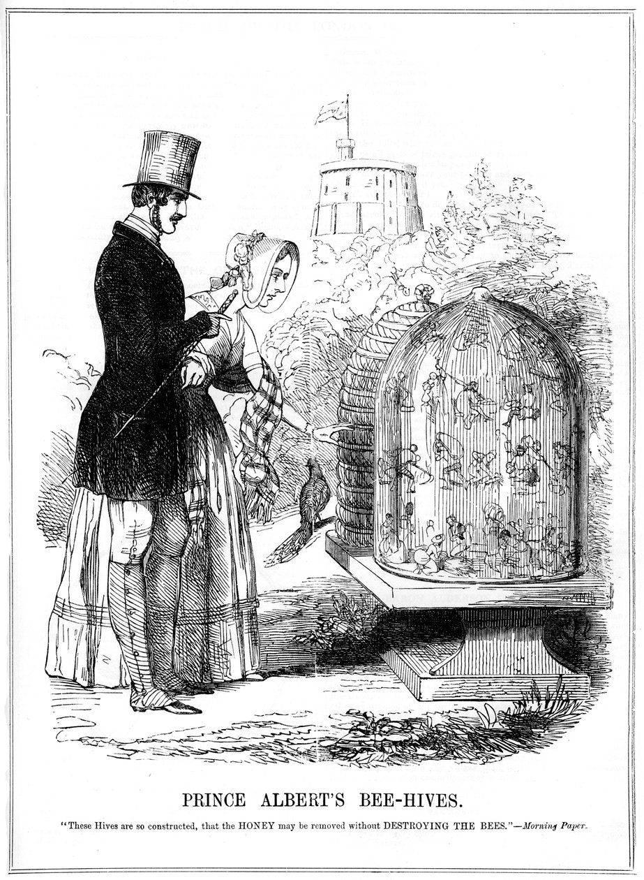 Die Bienenstöcke von Prinz Albert, 1843 von Unbekannt