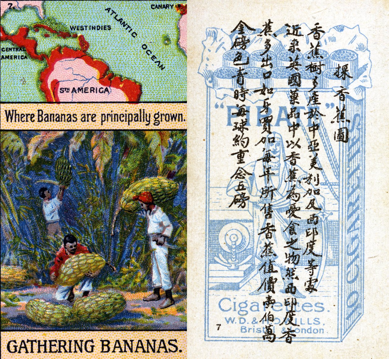 Hauptanbaugebiete für Bananen, aus der Serie 