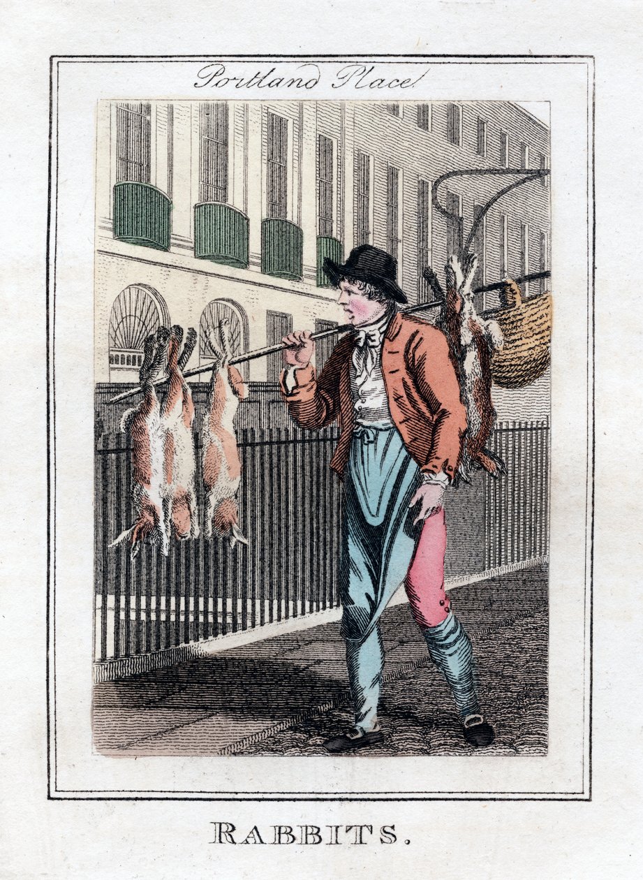 Kaninchen, Portland Place, London, 1805 von Unbekannt