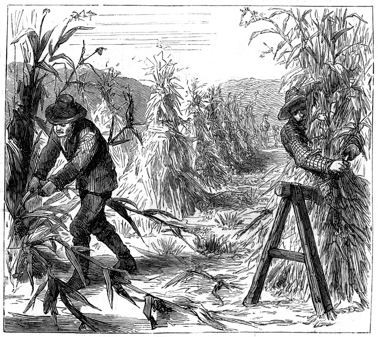 Ernten und Korn zum Trocknen aufschichten, Lake Drie, Kanada, 1880 von Unbekannt
