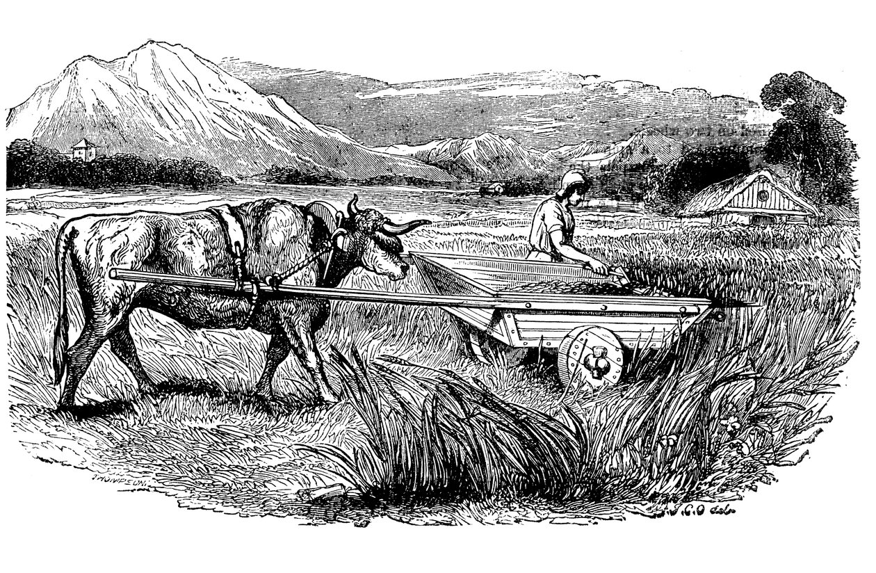 Rekonstruktion eines römischen Erntewagens, wie von Plinius beschrieben, Gravur von Unbekannt