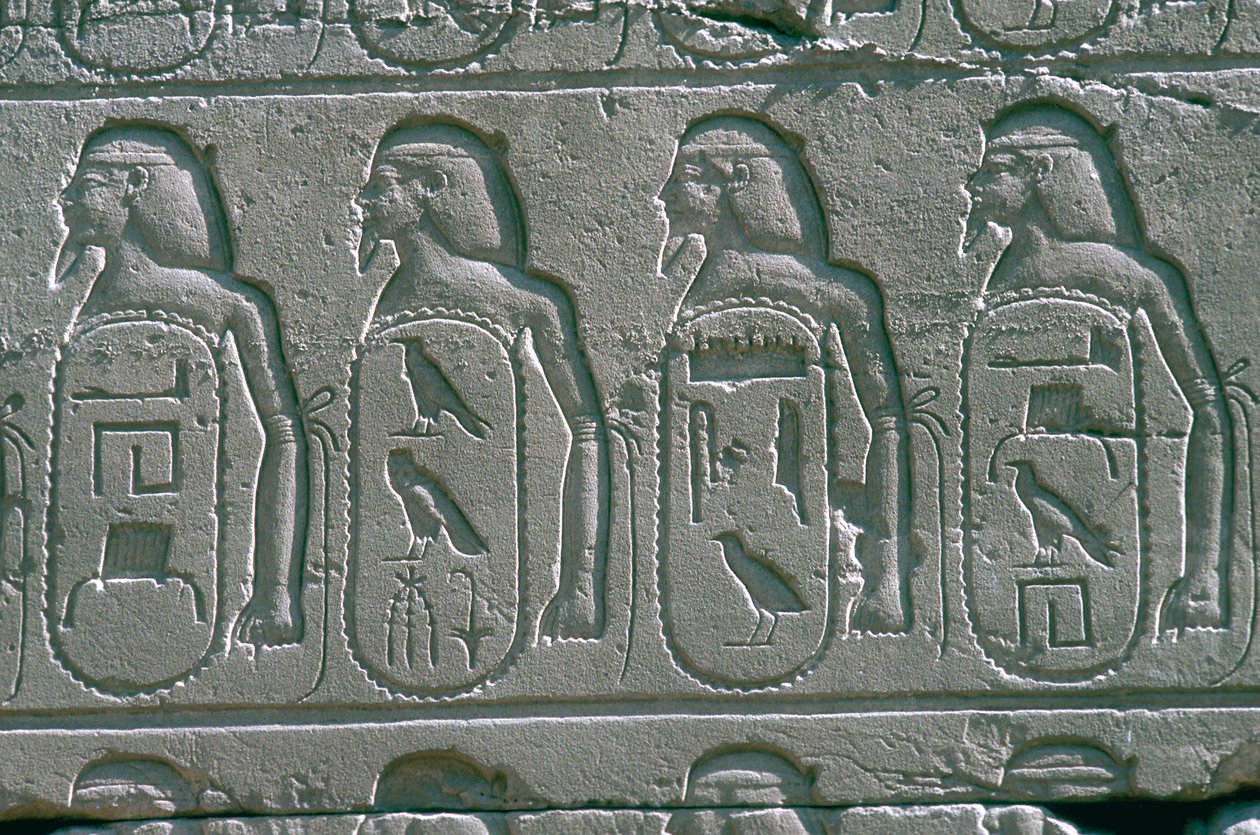 Reliefs mit Kartuschen von Namen gefangener Städte des Nahen Ostens, Tempel von Amun, Karnak, Ägypten von Unbekannt