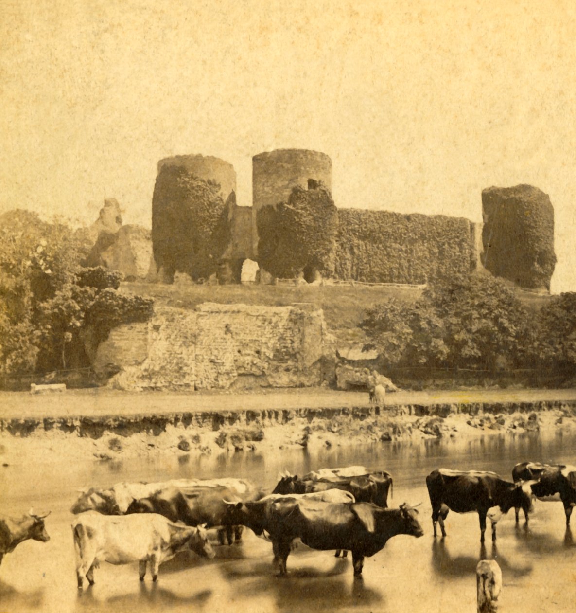 Rhuddlan - Schloss vom Fluss aus, ca. 1900 von Unbekannt