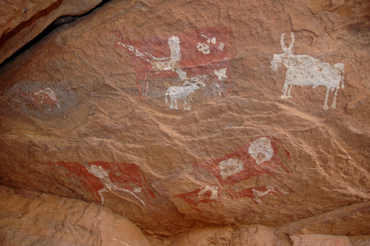 Felskunst, Vorgeschichte: Felsmalerei einer Gruppe von Rindern und Schafen in einem verzierten Schutzraum, im Uweinat-Massiv, Sudan (8000 bis 3000 v. Chr.) von Unbekannt