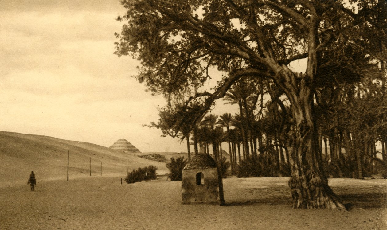 Saqqara - Die Stufenpyramide vom Sykomore aus gesehen, ca. 1918-1939 von Unbekannt