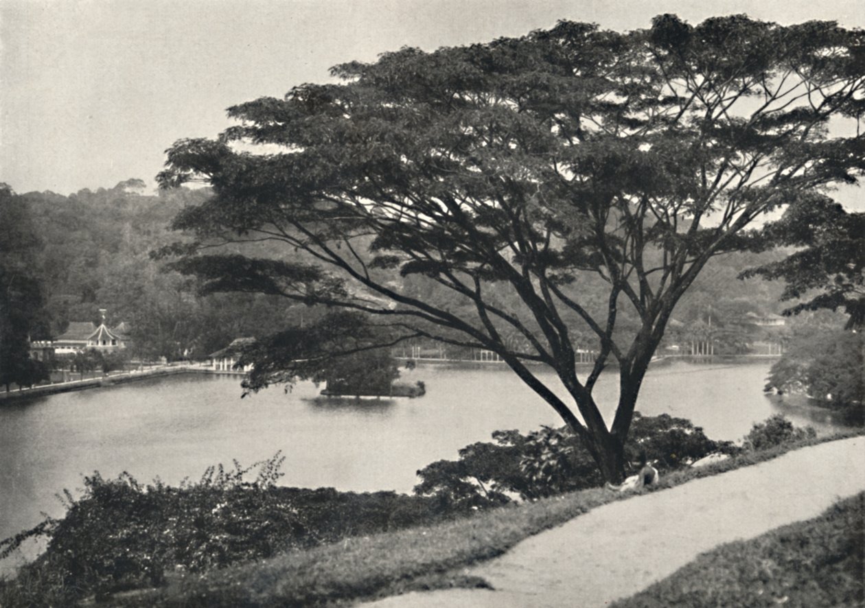 See, Tempel des Heiligen Zahnes und Bibliothek in Kandy, vom Viktoria-Drive nach Osten gesehen, 192 von Unbekannt