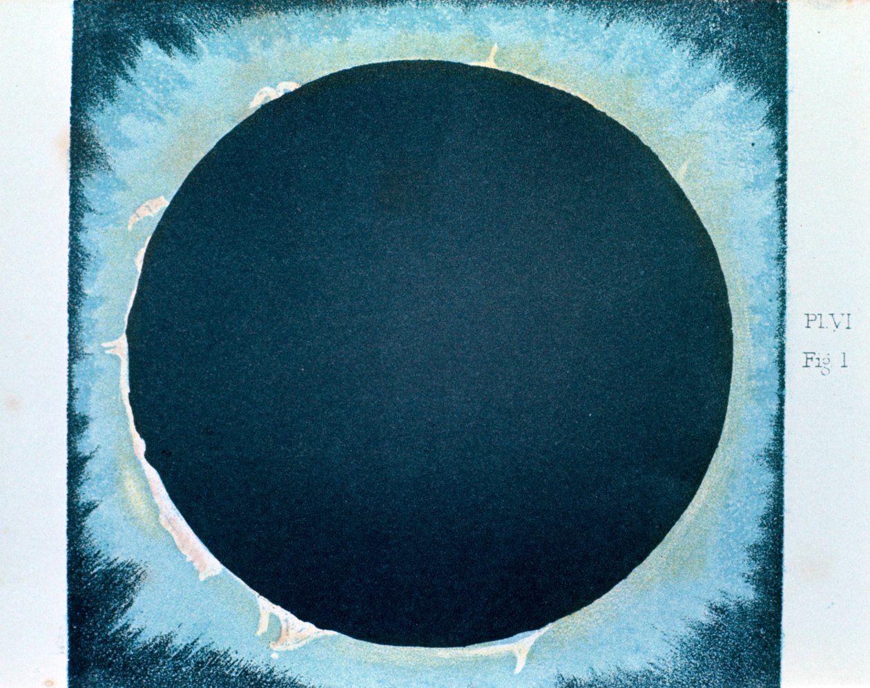 Sonnenkorona und Protuberanzen 1860-1870 von Unbekannt