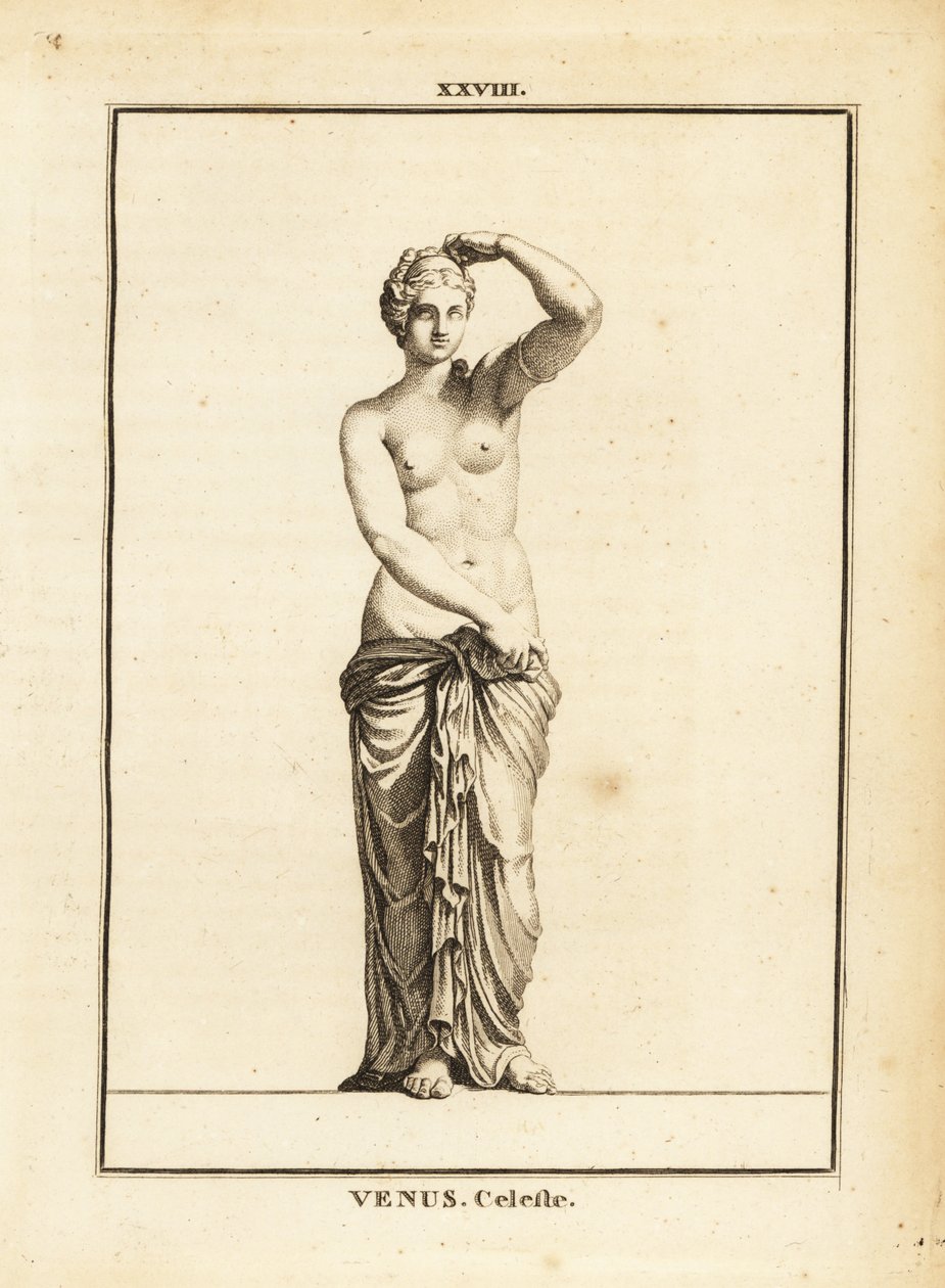Statue der Venus Celeste, römische Göttin der Liebe, Schönheit, Sexualität und Fruchtbarkeit von Unbekannt