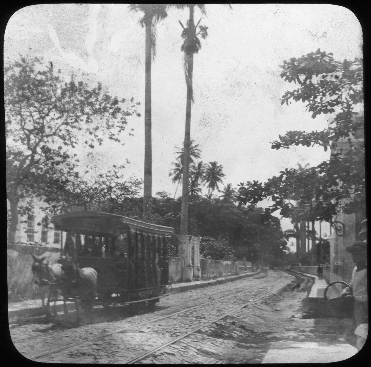 Straßenszene mit Pferdebahn, Pernambuco, Brasilien, späte 19. oder frühe 20. Jahrhundert von Unbekannt