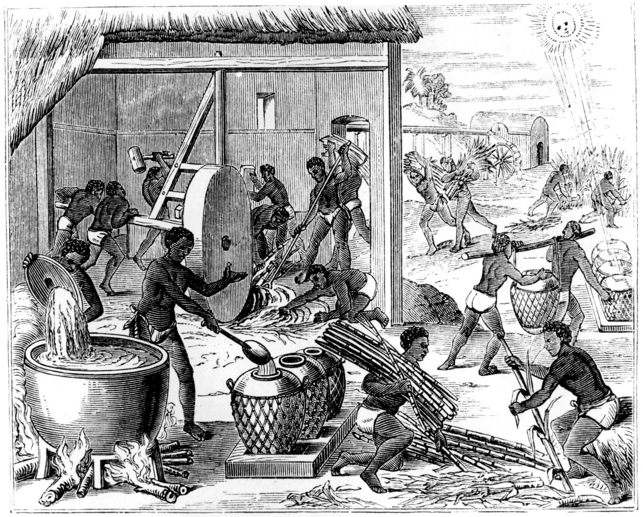 Zuckerproduktion, 1873 von Unbekannt