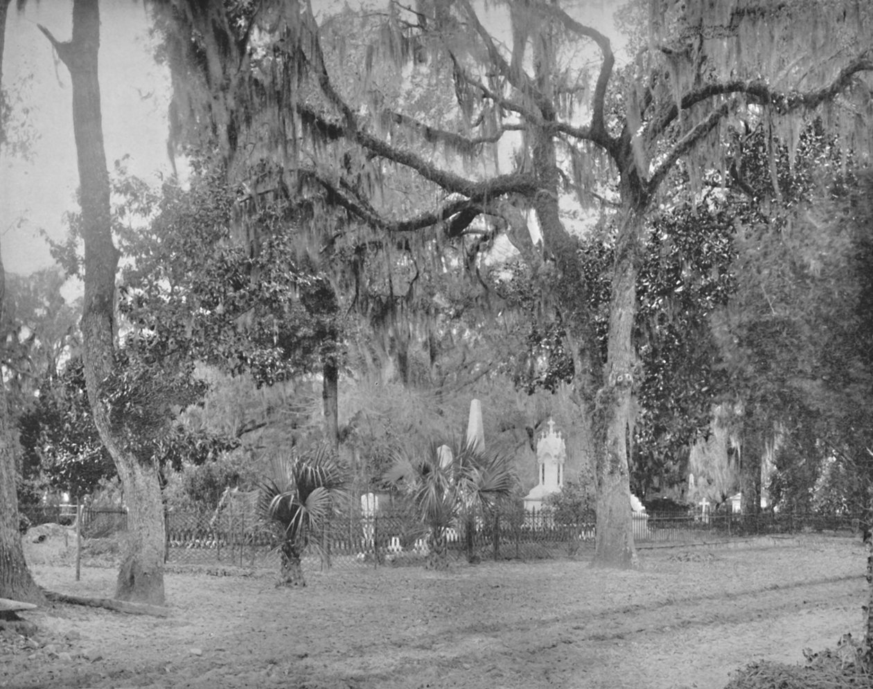 Der Friedhof von Bonaventure, 19. Jahrhundert von Unbekannt